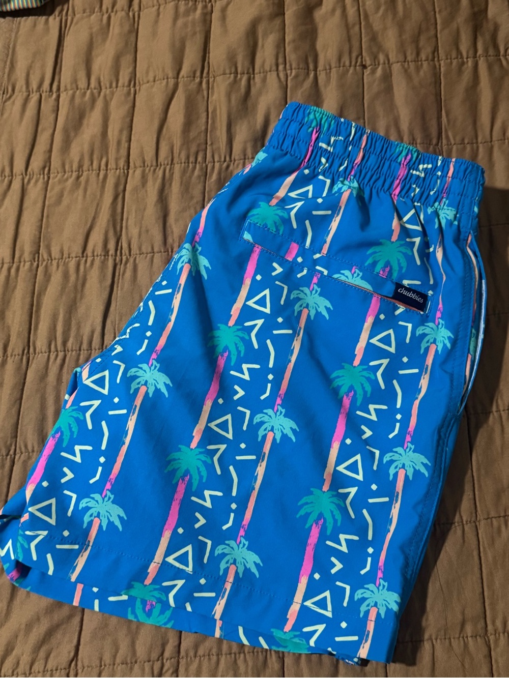Chubbies swim trunks